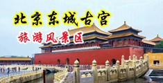 欧美骚B中国北京-东城古宫旅游风景区